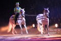Apassionata_2014    087